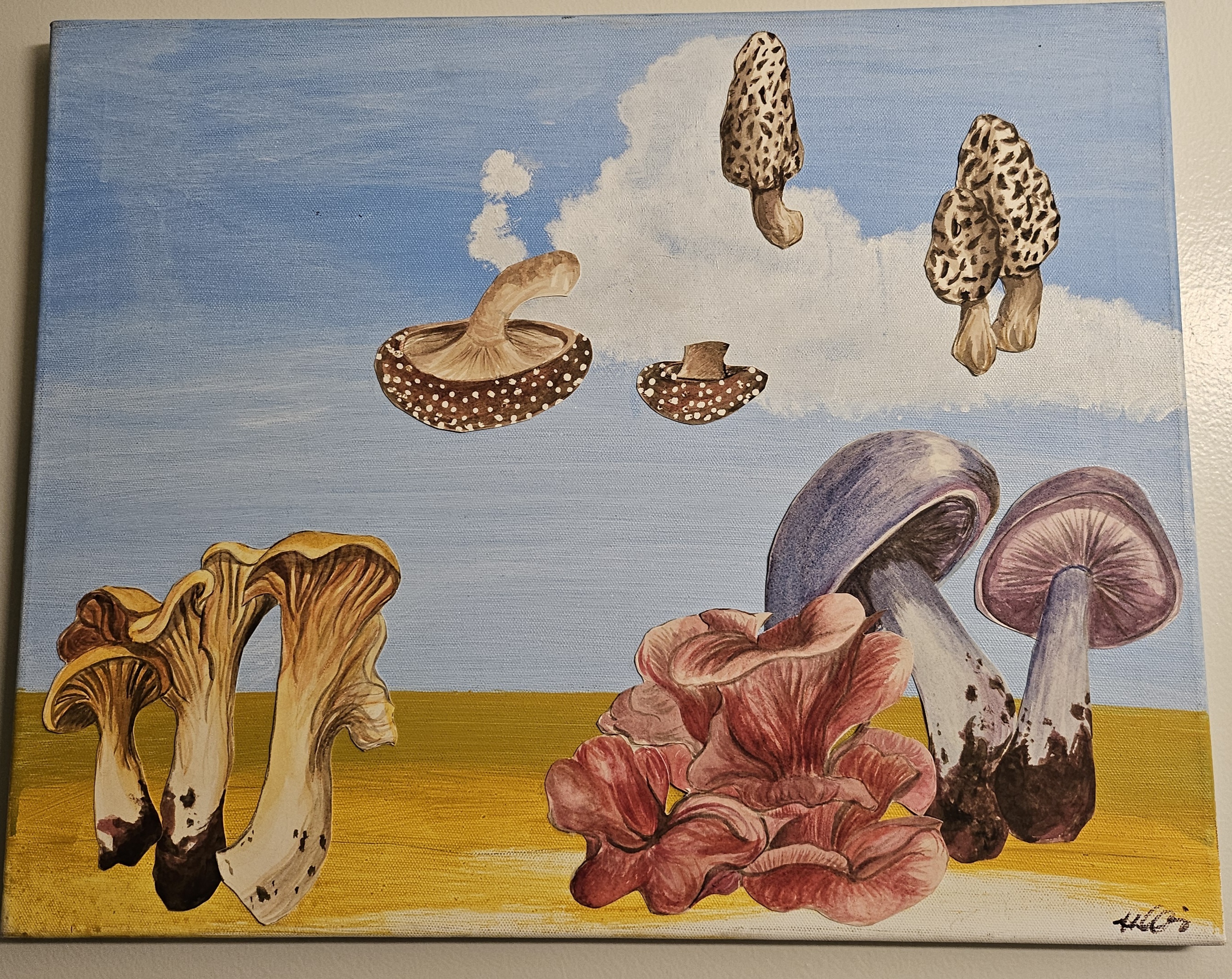 shroom sky